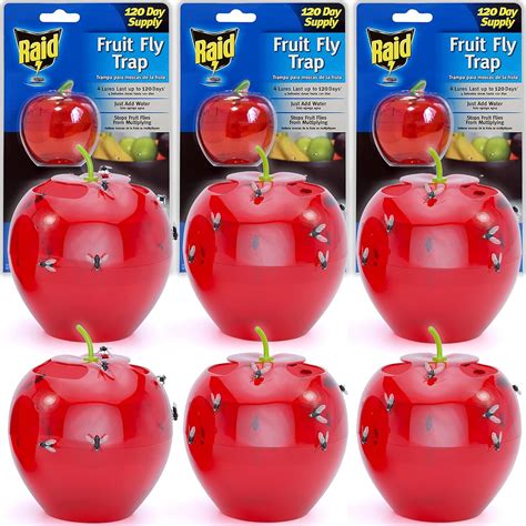 fruit fly trap amazon|More.